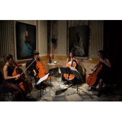 Tardes de Música Clàssica